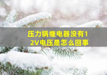 压力锅继电器没有12V电压是怎么回事