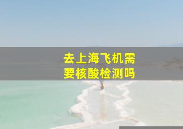 去上海飞机需要核酸检测吗