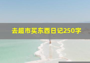 去超市买东西日记250字