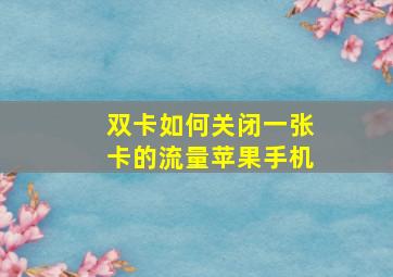 双卡如何关闭一张卡的流量苹果手机