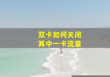 双卡如何关闭其中一卡流量