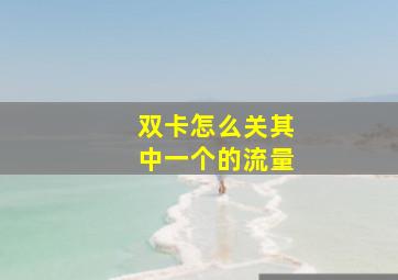 双卡怎么关其中一个的流量