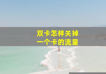 双卡怎样关掉一个卡的流量