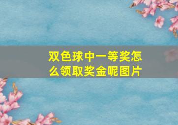 双色球中一等奖怎么领取奖金呢图片