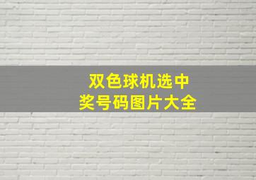 双色球机选中奖号码图片大全