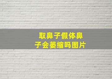 取鼻子假体鼻子会萎缩吗图片