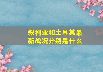 叙利亚和土耳其最新战况分别是什么