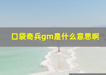 口袋奇兵gm是什么意思啊