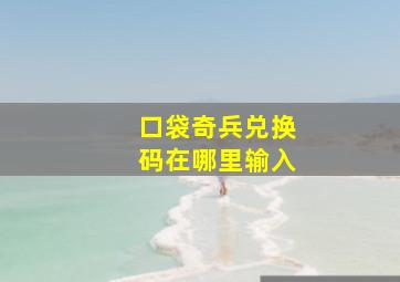 口袋奇兵兑换码在哪里输入