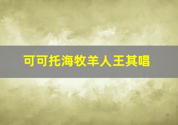 可可托海牧羊人王其唱