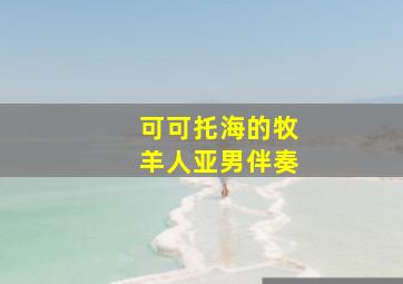 可可托海的牧羊人亚男伴奏