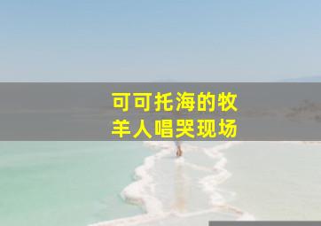 可可托海的牧羊人唱哭现场