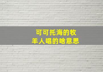 可可托海的牧羊人唱的啥意思