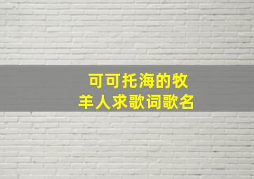 可可托海的牧羊人求歌词歌名