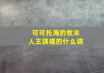 可可托海的牧羊人王琪唱的什么调