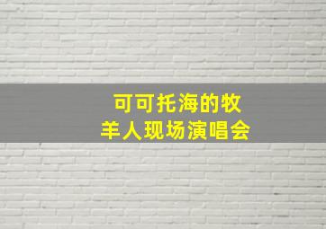 可可托海的牧羊人现场演唱会