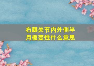 右膝关节内外侧半月板变性什么意思