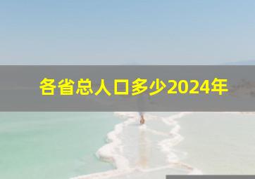 各省总人口多少2024年