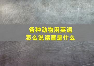 各种动物用英语怎么说读音是什么