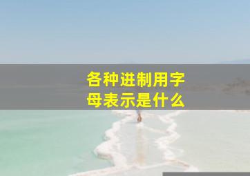 各种进制用字母表示是什么