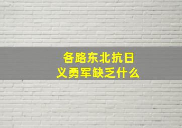 各路东北抗日义勇军缺乏什么