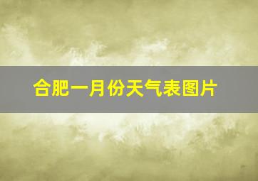 合肥一月份天气表图片