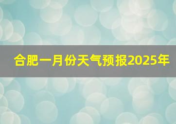 合肥一月份天气预报2025年