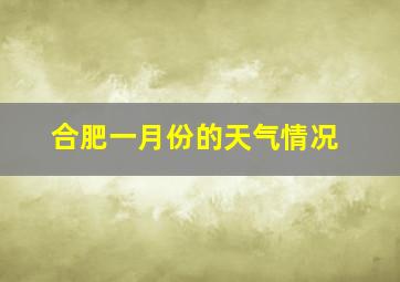 合肥一月份的天气情况