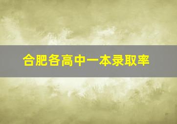 合肥各高中一本录取率