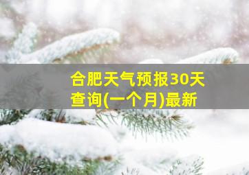 合肥天气预报30天查询(一个月)最新