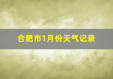 合肥市1月份天气记录