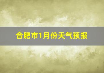 合肥市1月份天气预报