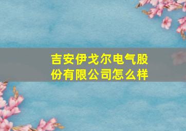 吉安伊戈尔电气股份有限公司怎么样