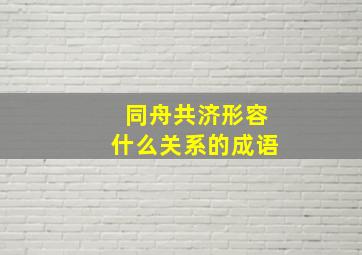 同舟共济形容什么关系的成语