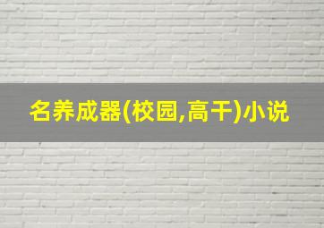 名养成器(校园,高干)小说