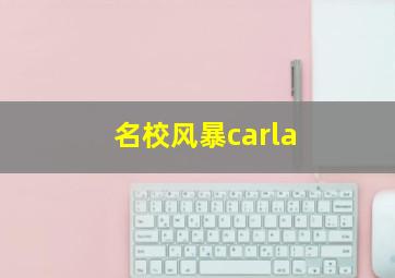 名校风暴carla