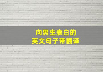 向男生表白的英文句子带翻译