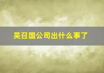 吴召国公司出什么事了