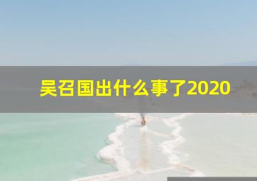 吴召国出什么事了2020