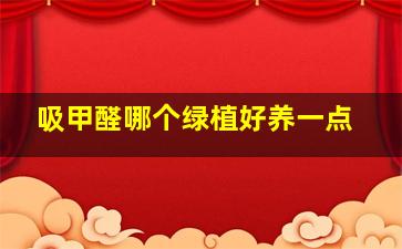 吸甲醛哪个绿植好养一点