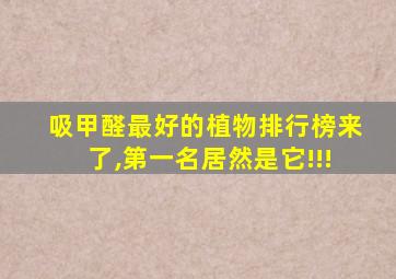 吸甲醛最好的植物排行榜来了,第一名居然是它!!!