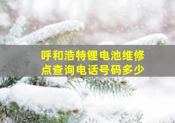 呼和浩特锂电池维修点查询电话号码多少