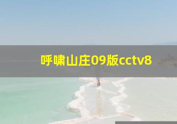 呼啸山庄09版cctv8