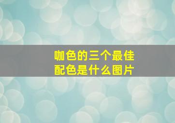 咖色的三个最佳配色是什么图片