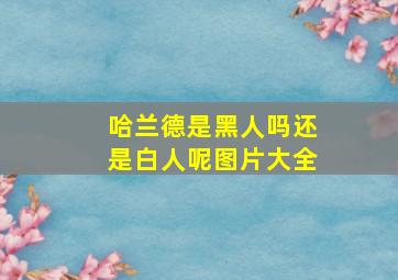 哈兰德是黑人吗还是白人呢图片大全