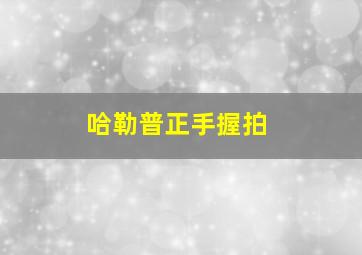 哈勒普正手握拍