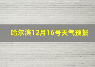 哈尔滨12月16号天气预报