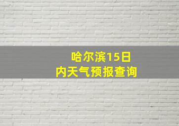 哈尔滨15日内天气预报查询