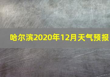 哈尔滨2020年12月天气预报