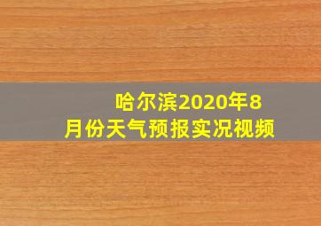 哈尔滨2020年8月份天气预报实况视频